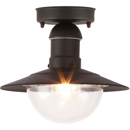 Rabalux - Plafón exterior 1xE27/60W IP44