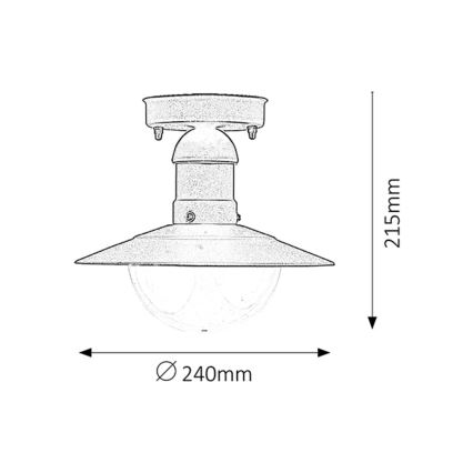 Rabalux - Plafón exterior 1xE27/60W IP44