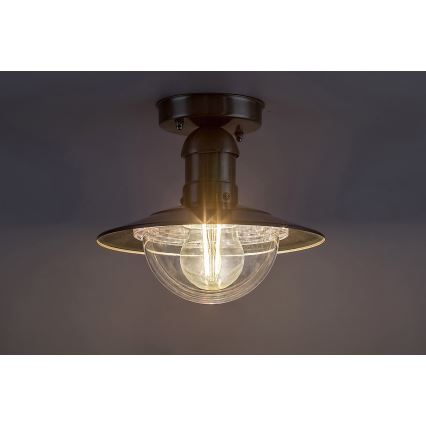 Rabalux - Plafón exterior 1xE27/60W IP44