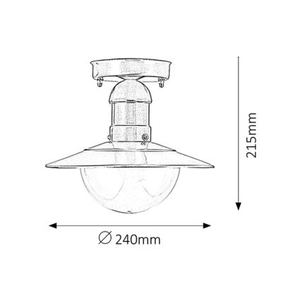 Rabalux - Plafón exterior 1xE27/60W IP44
