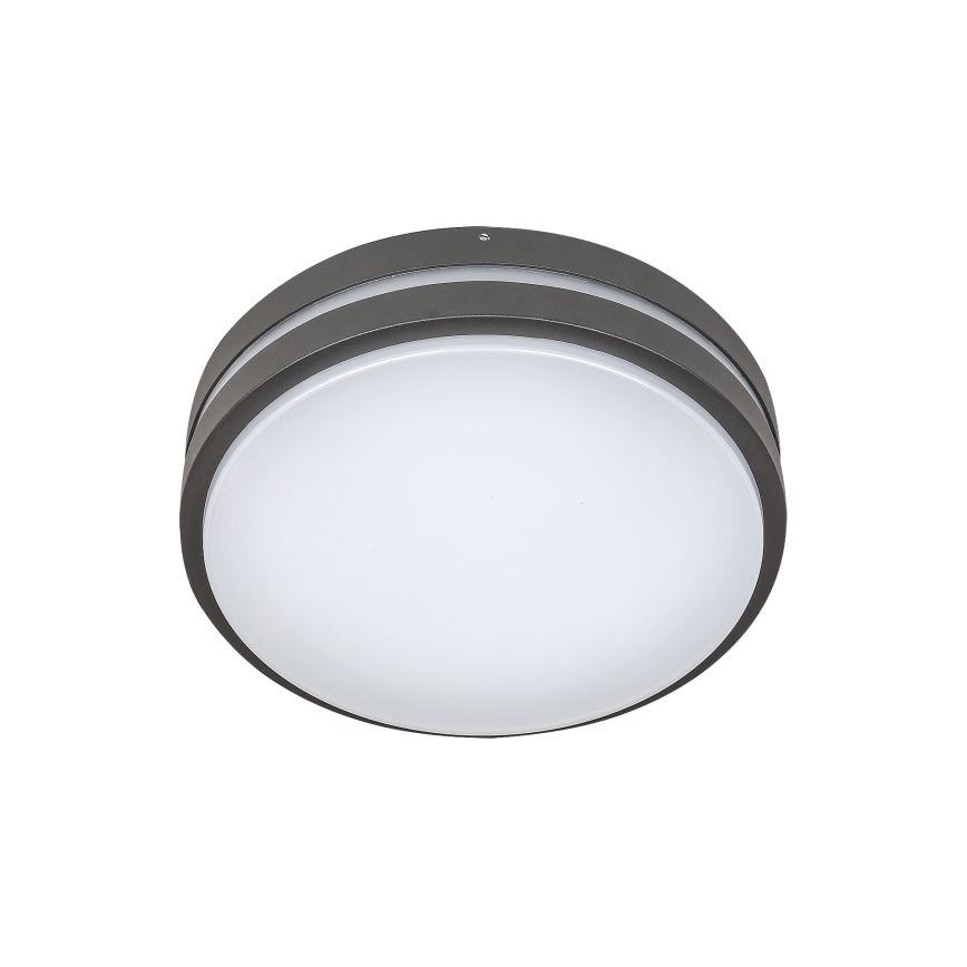 Rabalux 8847 - Aplique LED para exterior HAMBURG LED/10W/230V IP44