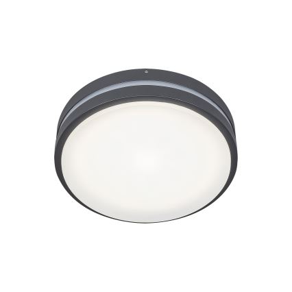 Rabalux 8847 - Aplique LED para exterior HAMBURG LED/10W/230V IP44