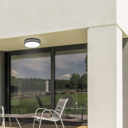 Rabalux 8848 - Aplique LED para exterior HAMBURG LED/12W/230V IP44