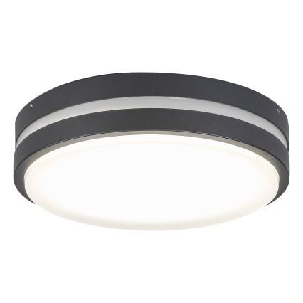 Rabalux 8848 - Aplique LED para exterior HAMBURG LED/12W/230V IP44