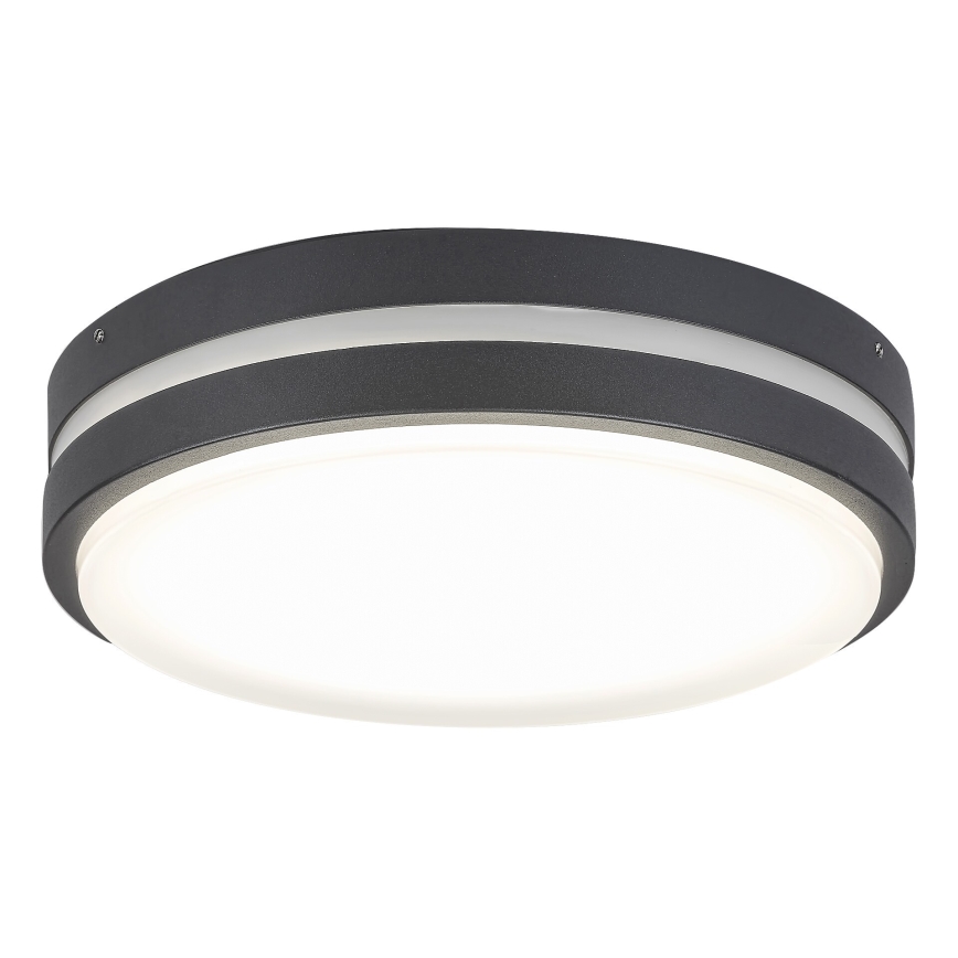 Rabalux 8848 - Aplique LED para exterior HAMBURG LED/12W/230V IP44