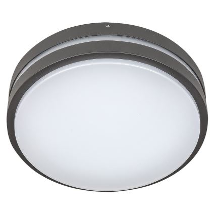 Rabalux 8848 - Aplique LED para exterior HAMBURG LED/12W/230V IP44