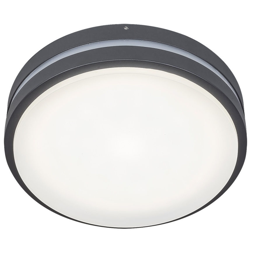 Rabalux 8848 - Aplique LED para exterior HAMBURG LED/12W/230V IP44
