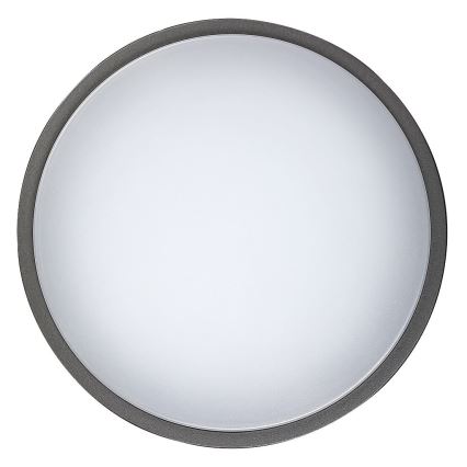 Rabalux - Lámpara de techo exterior LED HAMBURG LED/12W/230V IP44