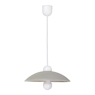 Rabalux - Lámpara colgante 1xE27/60W/230V gris