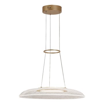 Rabalux - Lámpara colgante LED con cable LED/24W/230V 3000K