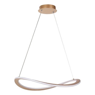 Rabalux - Lámpara colgante LED con cable LED/40W/230V 3000K