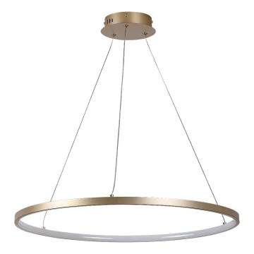 Rabalux - Lámpara colgante LED en cable LED/55W/230V 3000K