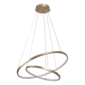 Rabalux - Lámpara colgante LED regulable con cable LED/75W/230V 3000-6500K + mando a distancia