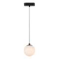 Rabalux - Lámpara de araña LED para sistema de riel monofásico LED/5W/24V 3000K negro