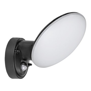 Rabalux - Lámpara de pared LED para exterior con sensor LED/12W/230V IP54