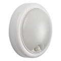 Rabalux - Lámpara de pared LED para exterior con sensor LED/15W/230V IP54