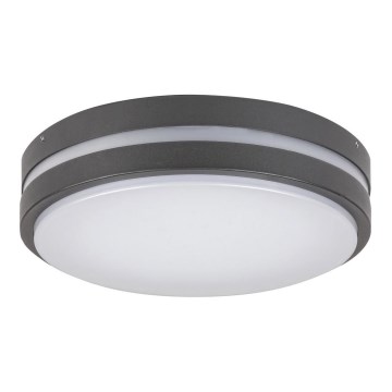Rabalux - Lámpara de techo exterior LED HAMBURG LED/12W/230V IP44