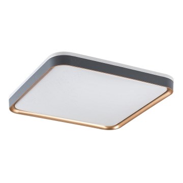 Rabalux - Lámpara de techo LED/26W/230V 3000K 39,5x39,5 cm