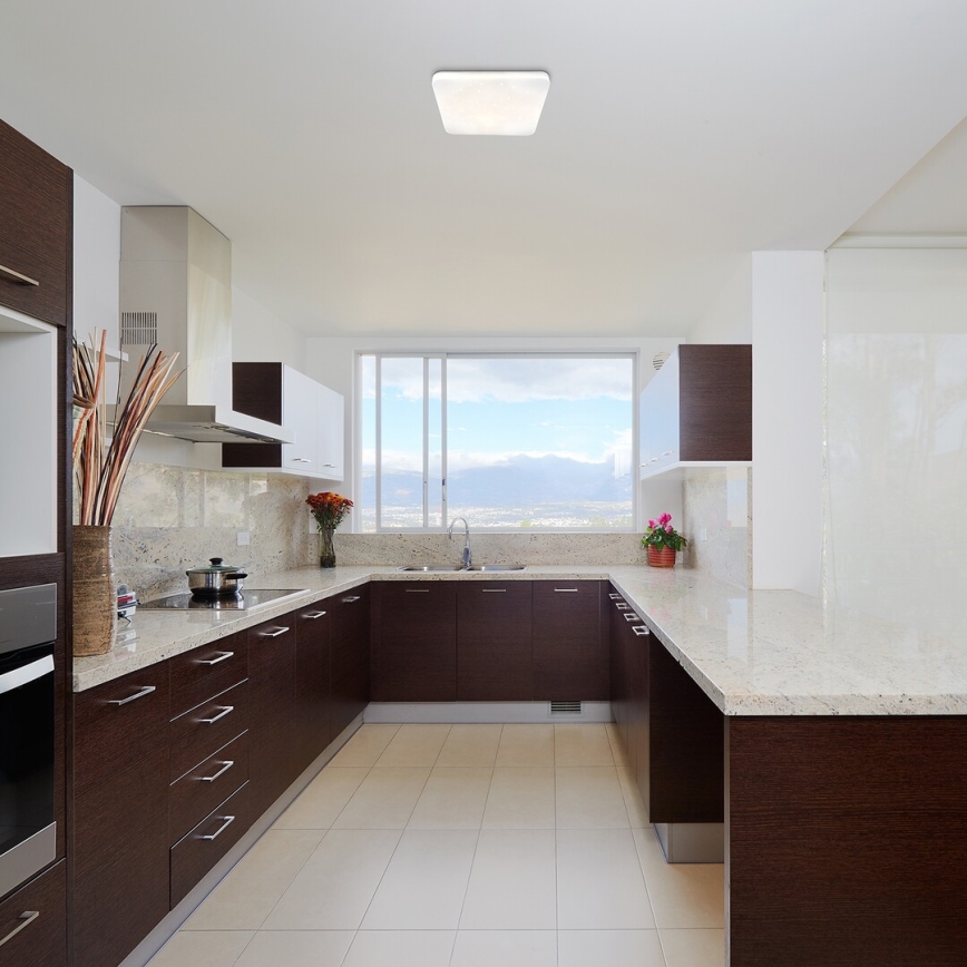 Rabalux - Lámpara de techo LED LED/12W/230V