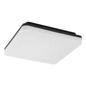 Rabalux - Lámpara de techo LED para baño LED/24W/230V IP54