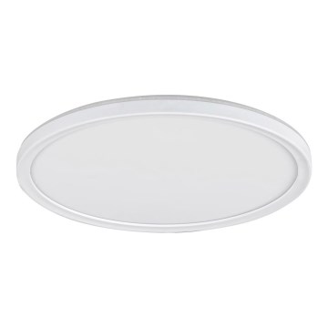 Rabalux - Lámpara de techo LED regulable LED/22W/230V Ø 42 cm