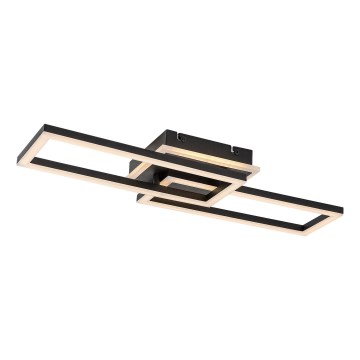 Rabalux - Lámpara de techo LED regulable LED/30W/230V 3000-6500K + mando a distancia 22x60 cm