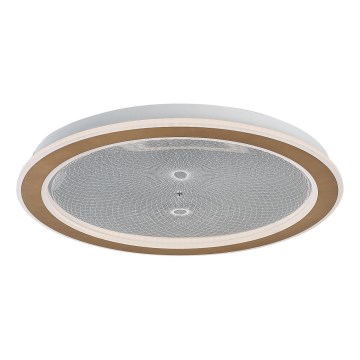 Rabalux - Lámpara de techo LED regulable LED/34W/230V 3000-6500K Ø 51 cm + mando a distancia