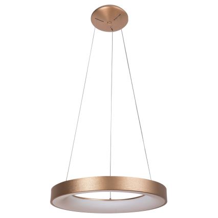 Rabalux - Lámpara LED colgante CARMELLA LED/80W/230V