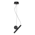 Rabalux - Lámpara LED colgante LED/3W/230V 3000K