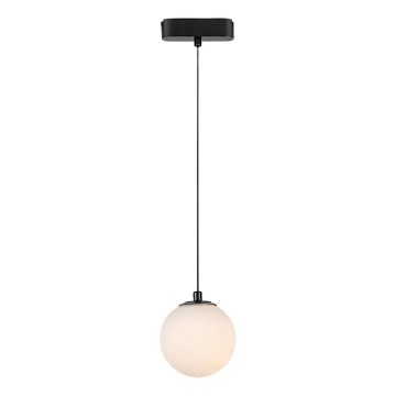 Rabalux - Lámpara LED colgante para sistema de raíles monofásico LED/5W/24V 3000K negro