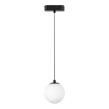 Rabalux - Lámpara LED colgante para sistema de raíles monofásico LED/5W/24V 4000K negro