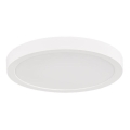 Rabalux - Lámpara LED de techo para baño LED/30W/230V, diámetro 30 cm, IP44, blanca