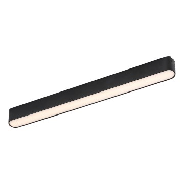 Rabalux - LED Plafón para sistema de raíles monofásico LED/16W/24V 3000K 33 cm negro