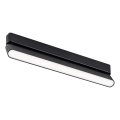 Rabalux - LED Plafón para sistema de raíles monofásico LED/16W/24V 4000K 33 cm negro