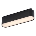 Rabalux - LED Plafón para sistema de raíles monofásico LED/6W/24V 3000K 11,5 cm negro