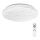 Rabalux - LED Plafón regulable a control remoto LED/50W/230V