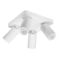 Rabalux - Luminaria de focos 4xGU10/7W/230V blanca