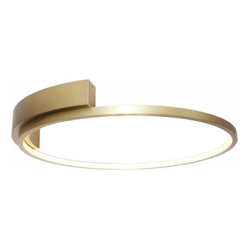 Rabalux - Luminaria de techo LED/23W/230V diámetro 42 cm