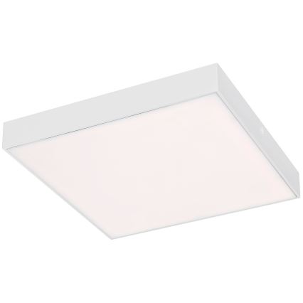 Rabalux - Luminaria de techo LED/24W/230V 2800-6000K IP44 blanca 30x30 cm