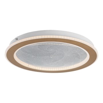 Rabalux - Luminaria de techo LED regulable 24W/230V 3000–6500K Ø 40 cm + mando a distancia