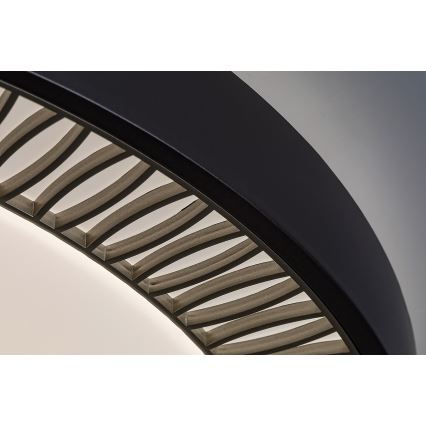 Rabalux - Lámpara de techo LED regulable LED/40W/230V con mando a distancia 3000-6000K, diámetro 50 cm