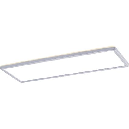Rabalux - Panel LED de superficie LED/22W/230V