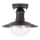 Rabalux - Plafón exterior 1xE27/60W IP44