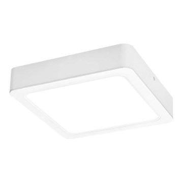 Rabalux - Plafón LED LED/24W/230V 22x22 cm