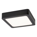 Rabalux - Plafón LED LED/7W/230V 4000K 12x12 cm negro