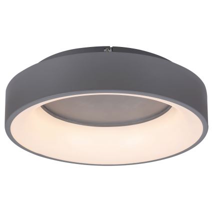 Rabalux - Plafón LED regulable LED/24W/230V redondeado 3000-6000K diá. 45 cm + control remoto