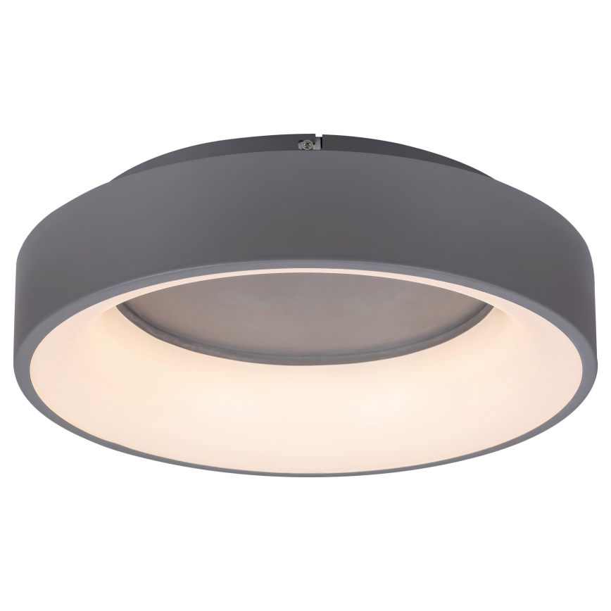 Rabalux - Plafón LED regulable LED/24W/230V redondeado 3000-6000K diá. 45 cm + control remoto