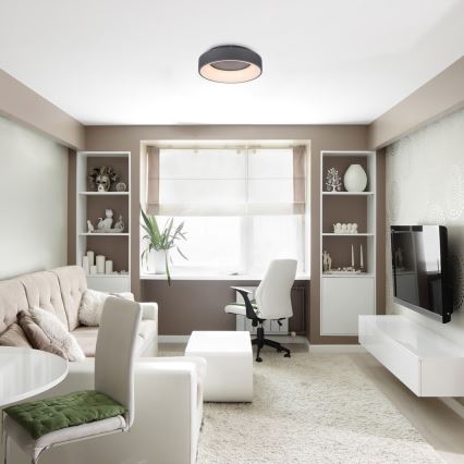 Rabalux - Plafón LED regulable LED/24W/230V redondeado 3000-6000K diá. 45 cm + control remoto