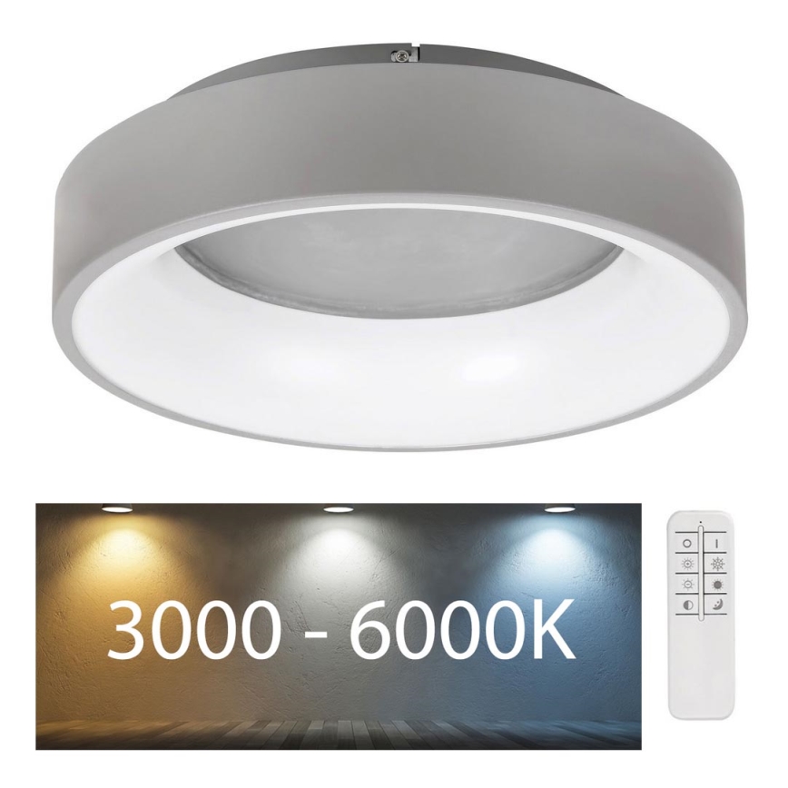Rabalux - Plafón LED regulable LED/24W/230V redondeado 3000-6000K diá. 45 cm + control remoto