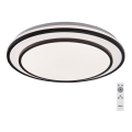Rabalux - Plafón LED regulable LED/40W/230V 3000-6500K, negro, diámetro 49 cm + mando a distancia